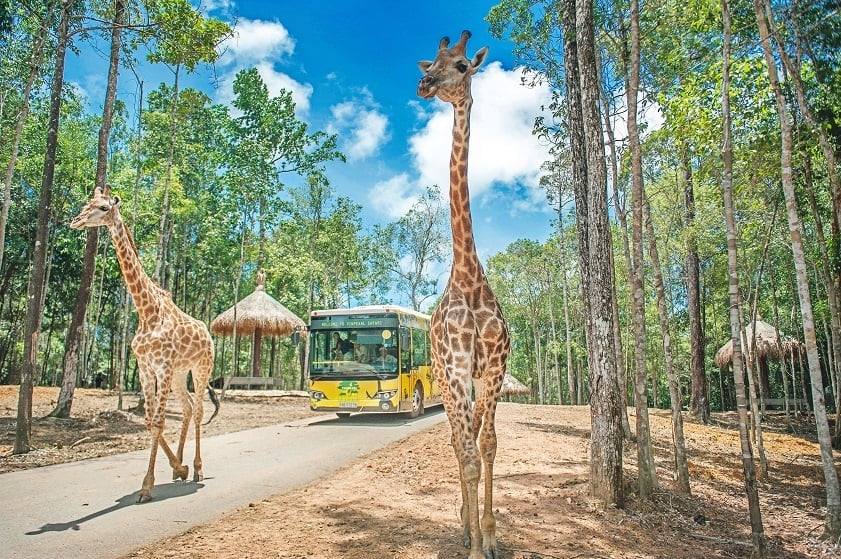1, Vinpearl Wildlife Park