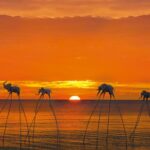 1. Sunset Sanato