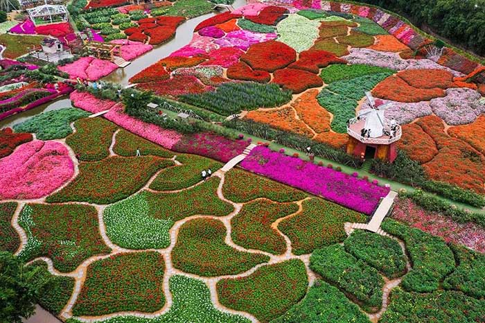 1,,Rose valley