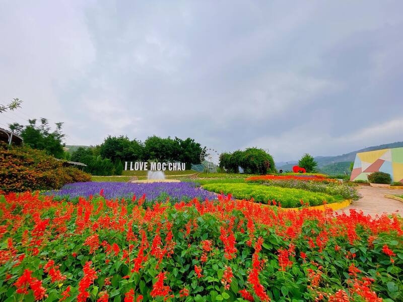 2..Happy Land flower garden