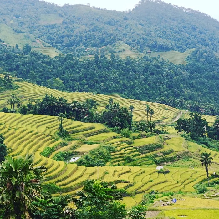 ruong bac thang