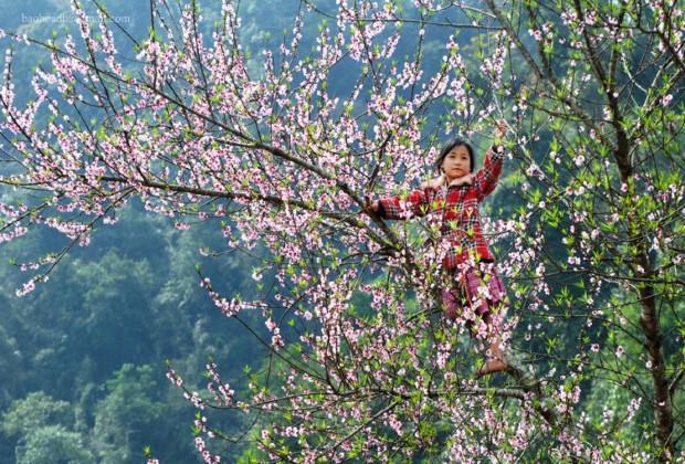 Moc Chau