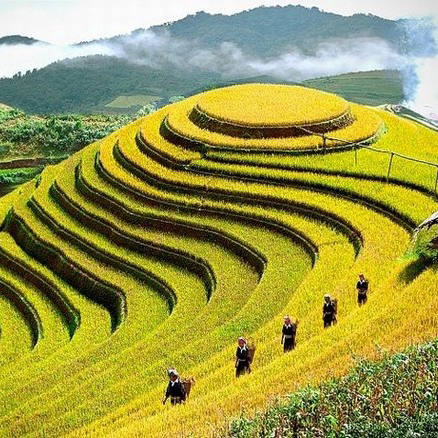 Sapa